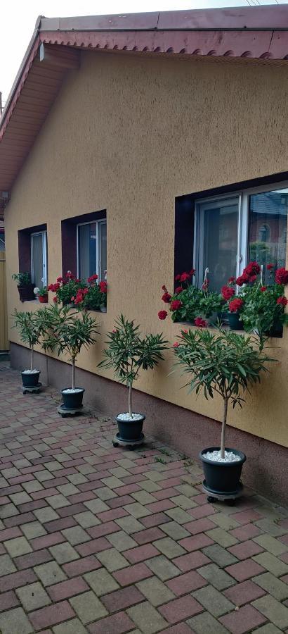 Cazare Buzau Lägenhet Exteriör bild
